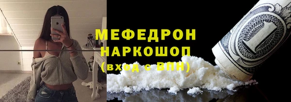 МДПВ Дмитриев
