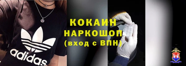 стафф Дмитров