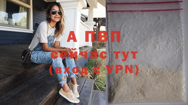 стафф Дмитров