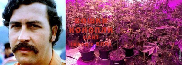 стафф Дмитров