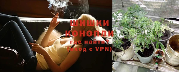 ешки Дмитровск