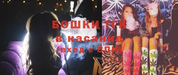 ешки Дмитровск