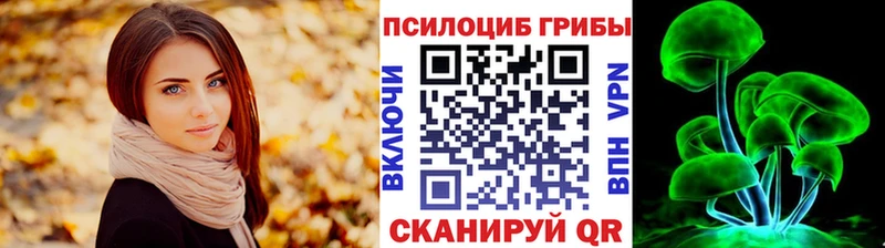Галлюциногенные грибы Cubensis  Купить где  Липки 